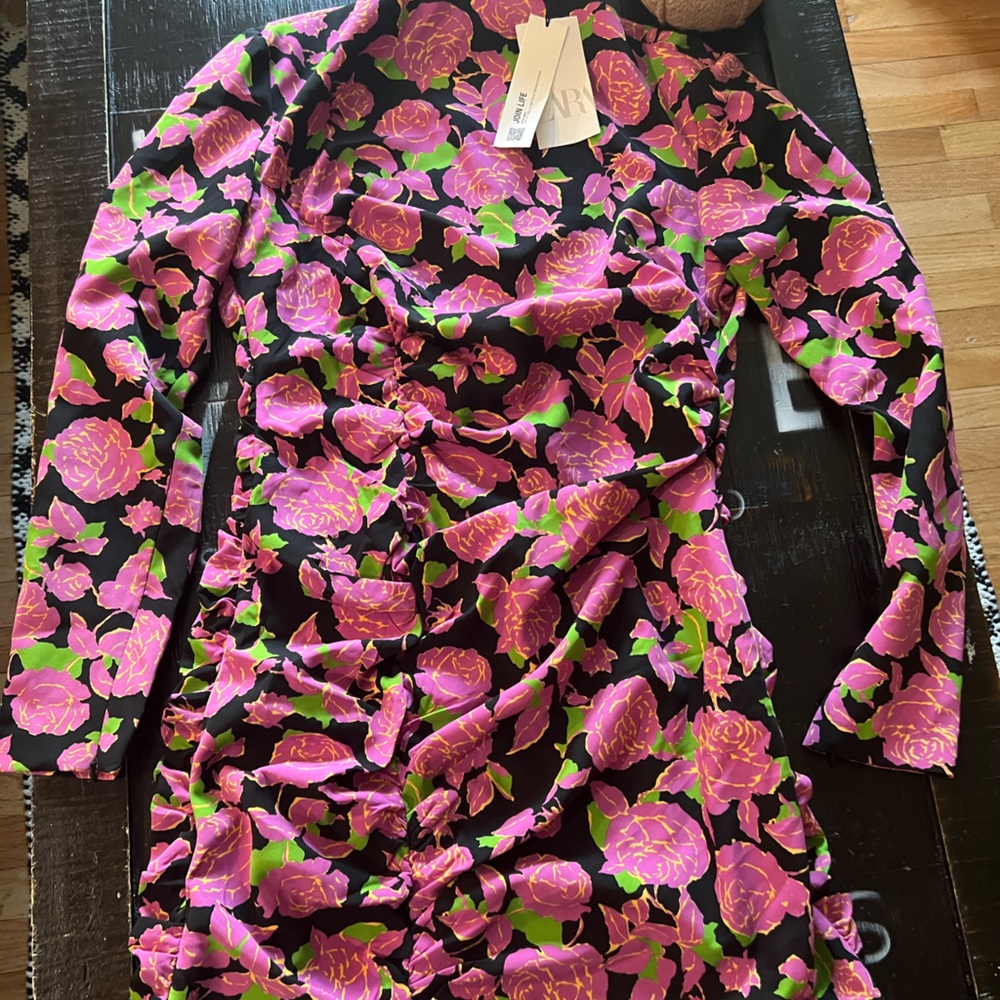 Zara Long Sleeve Mini Dress